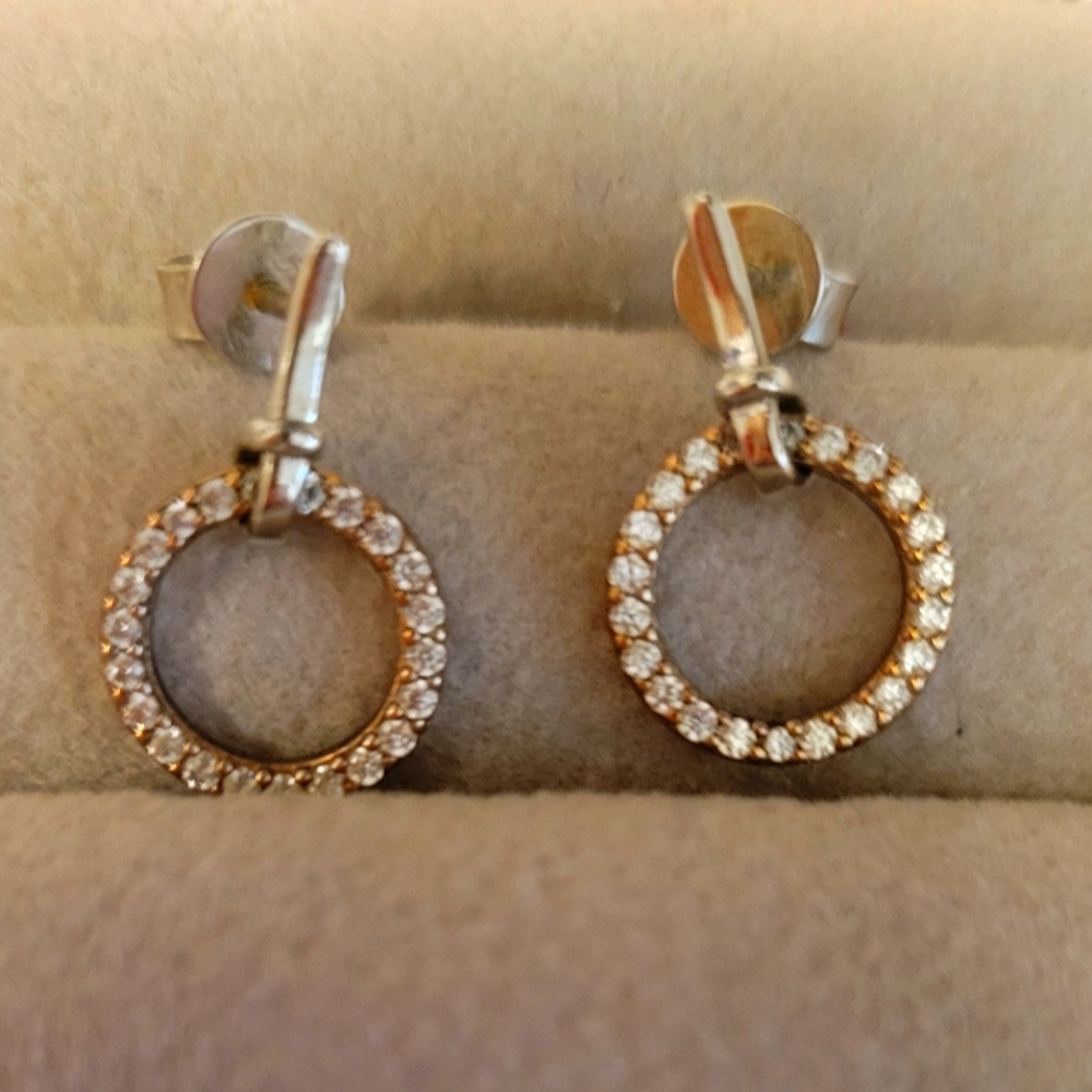 Reeds gems earrings